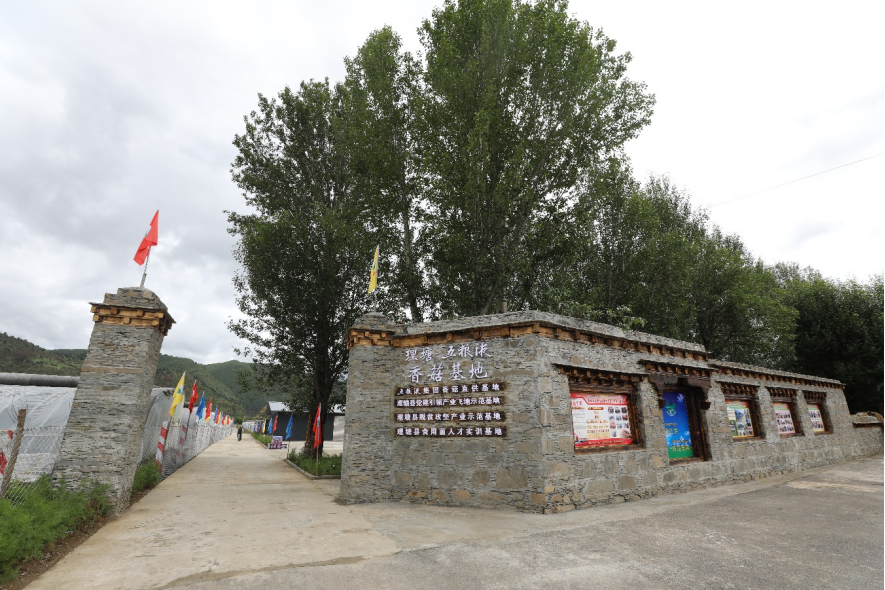 五粮液：新时代十年变革 高质量持续跨越(1)3517.png