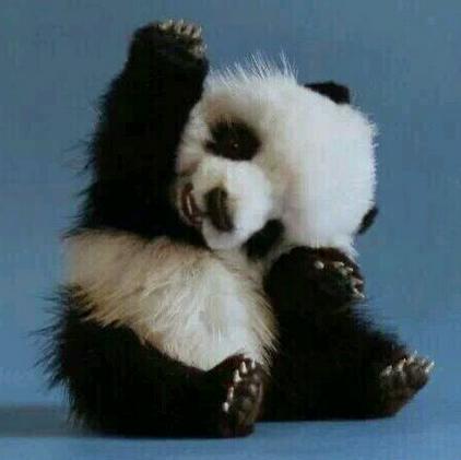 图片2.jpg 图片2.jpg