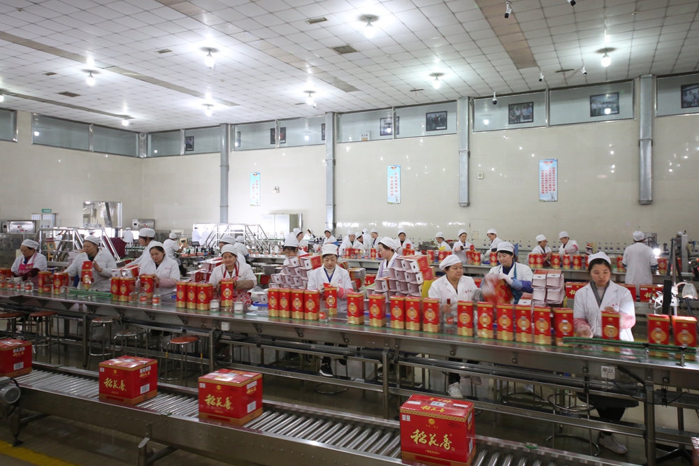 1 稻花香酒业车间里一派繁忙.JPG