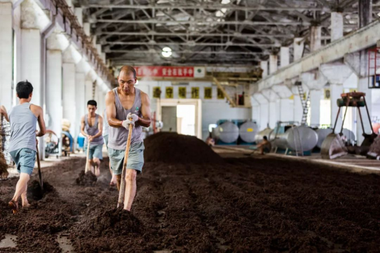 习酒：守住企业生命线 首战告捷传四方827.png