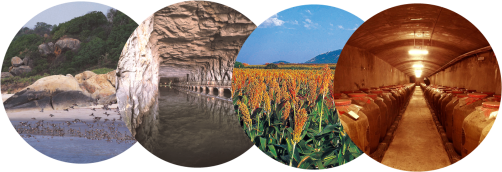 金门高粱酒会前通稿修改版 - 副本406.png