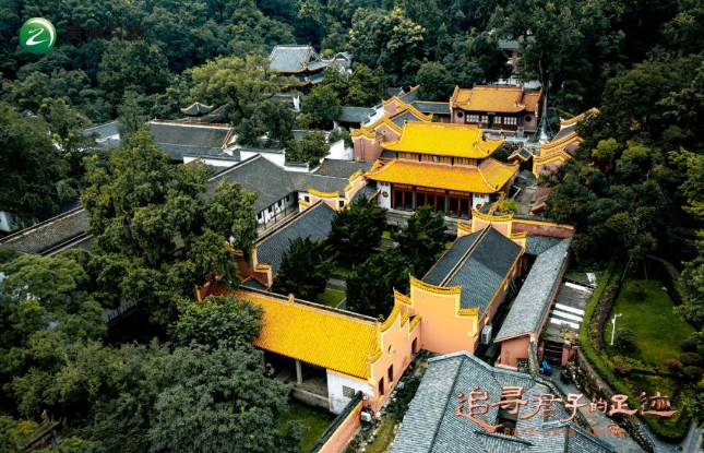 君品文化X中国书院，习酒追寻君子足迹再启新征程