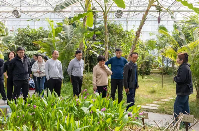 今世缘酒业走进迎驾开展交流学习