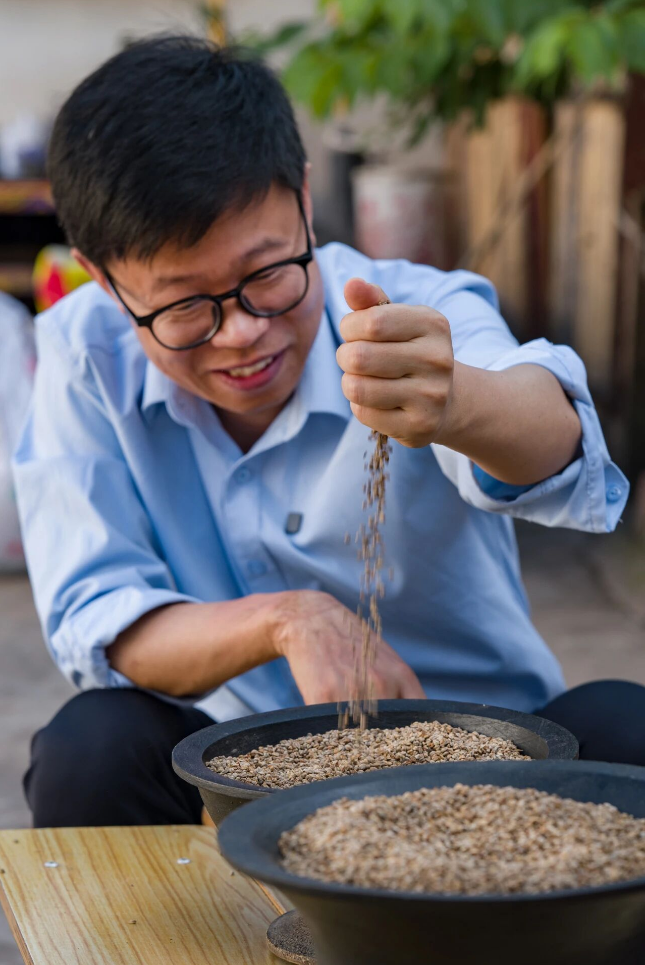 苦荞麦•藏在大地折叠处的“百谷之冠”