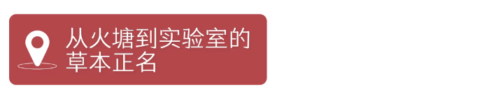 苦荞麦•藏在大地折叠处的“百谷之冠”