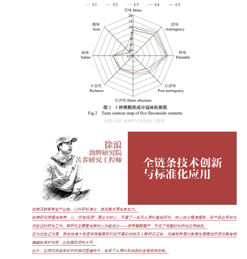 苦荞麦•藏在大地折叠处的“百谷之冠”