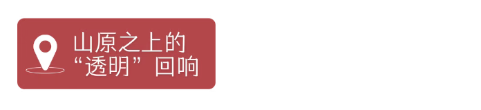 苦荞麦•藏在大地折叠处的“百谷之冠”