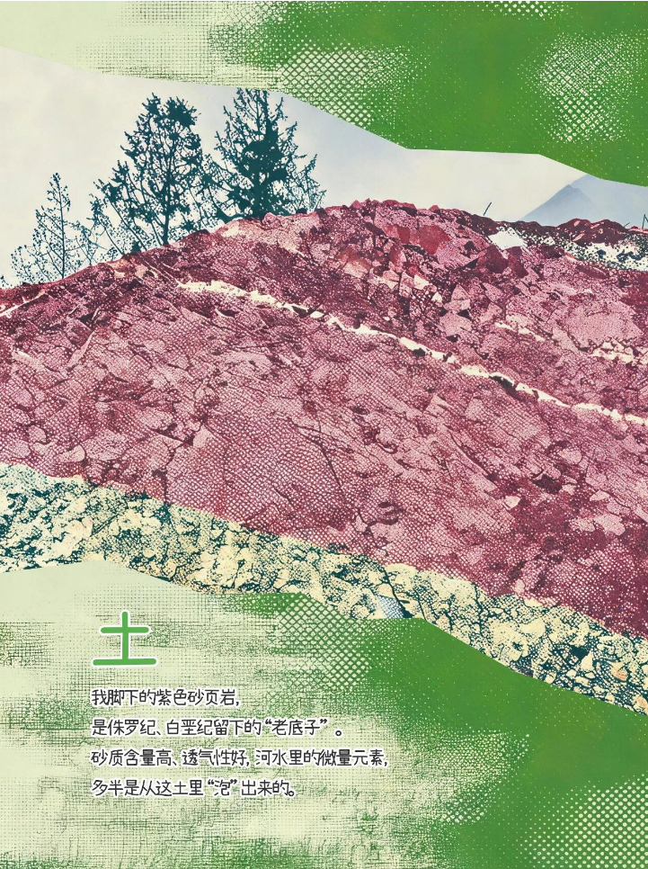 一份“和义兴”的简历