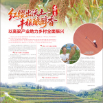 贵州茅台：红缨出沃土 丰穰酿醇香 以高粱产业助力乡村全面振兴
