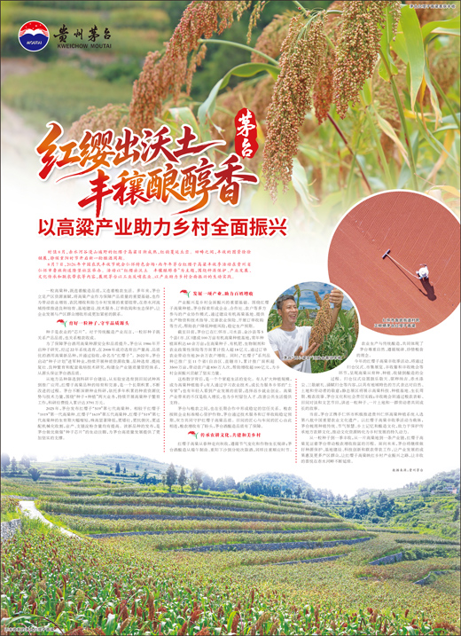 贵州茅台:红缨出沃土 丰穰酿醇香 以高粱产业助力乡村全面振兴