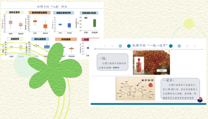 遇见红缨子