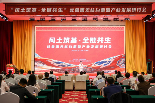 中国葡萄酒取得重大突破,无核白葡萄产业发展研讨会举行