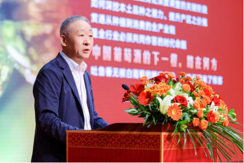中国葡萄酒取得重大突破,无核白葡萄产业发展研讨会举行