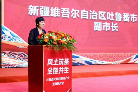 中国葡萄酒取得重大突破,无核白葡萄产业发展研讨会举行