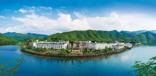 逆势双增,迎驾三季报里的周期韧性