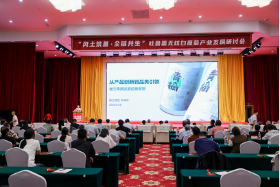 中国葡萄酒取得重大突破,无核白葡萄产业发展研讨会举行